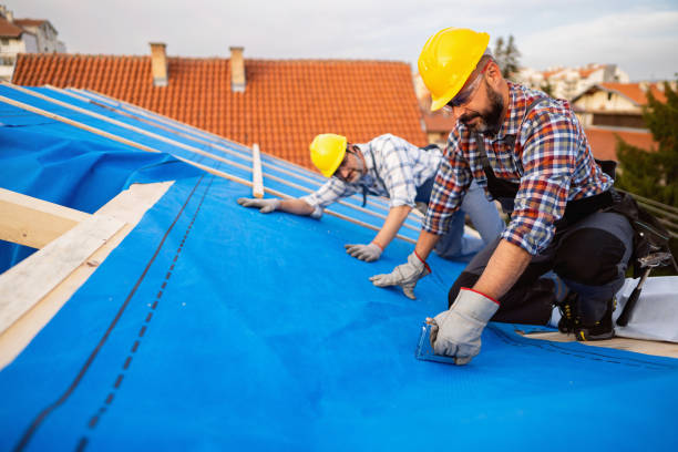 Roof Gutter Cleaning in Cerritos, CA